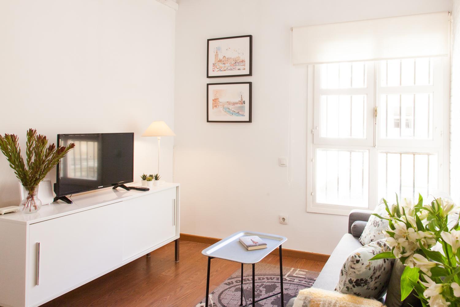 Appartement Isg Conde De Ibarra 12 Free Parking *